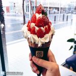 【ソフトクリーム畑　富山本店】メニューが多くて迷う！迷ったら季節のソフトクリーム！